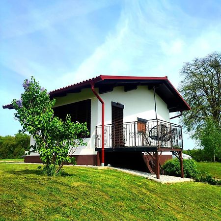 Apartma Kapelski Fant Sveti Jurij ob Scavnici ภายนอก รูปภาพ
