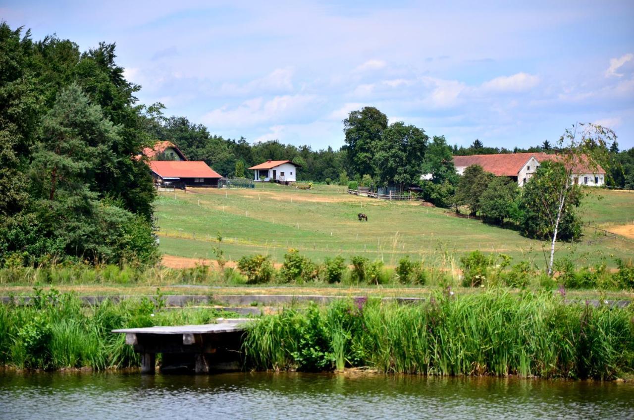 Apartma Kapelski Fant Sveti Jurij ob Scavnici ภายนอก รูปภาพ